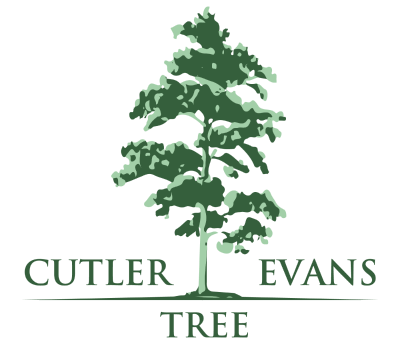 Cutler Evans Tree logo dark